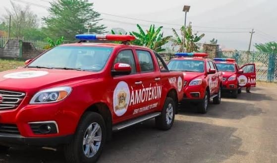 Oyo Amotekun intercepts suspected armed herdsmen in truck