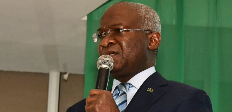 Don’t exceed 100km/h on Nigerian road, Fashola urges motorists
