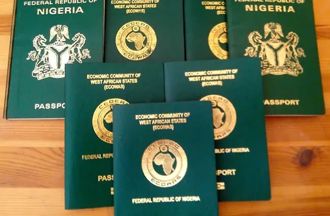 FG to introduce online tracking system for passport application