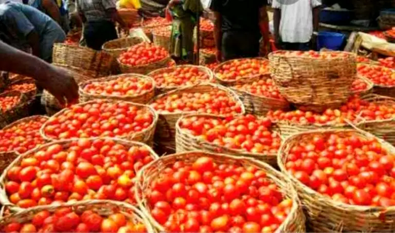 Insecurity, sit-at-home, petrol scarcity caused food price hike in Q1 2022 — Report