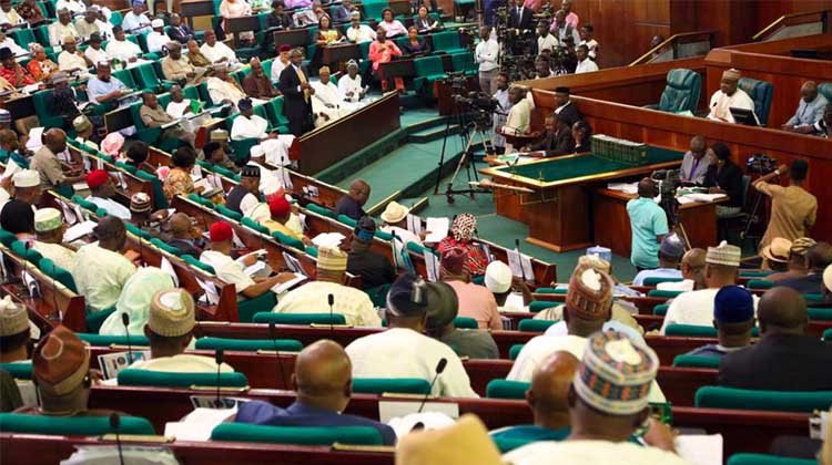 Reps protest Anambra, Enugu’s exclusion from FG scheme