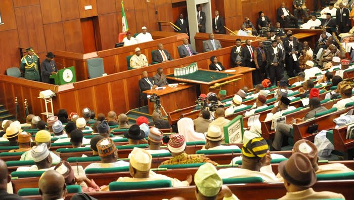 LG autonomy absent in N’Assembly constitution amendment bills