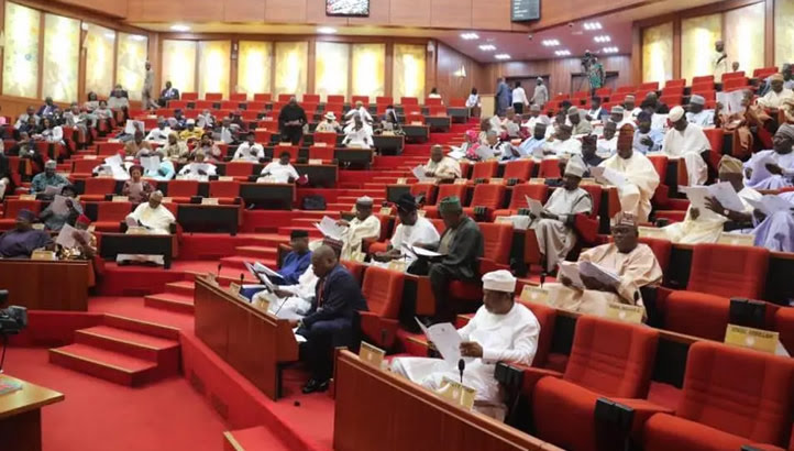 Senate to pass N2.18tn supplementary budget Thursday