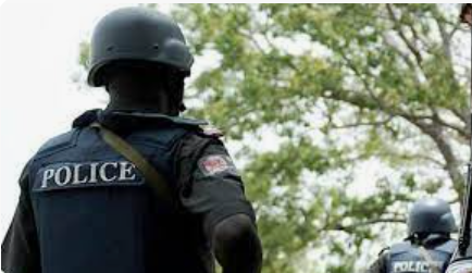 Kaduna police arrest kidnappers’ gang leader linked to Catholic church attack  